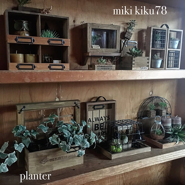 Mikiさんの実例写真