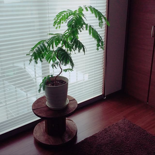 yumirinrinさんの実例写真