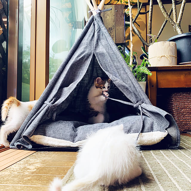 simayaさんの実例写真
