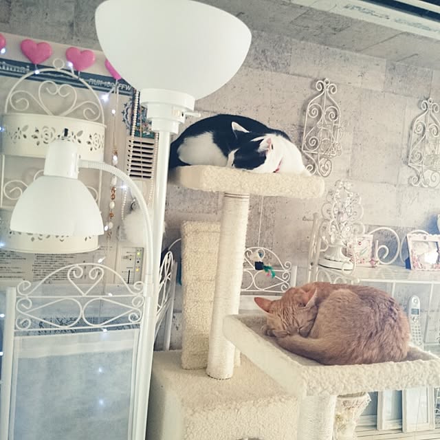 fu-ka24さんの実例写真