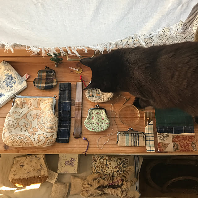 neko-2.2.2runmuさんの実例写真