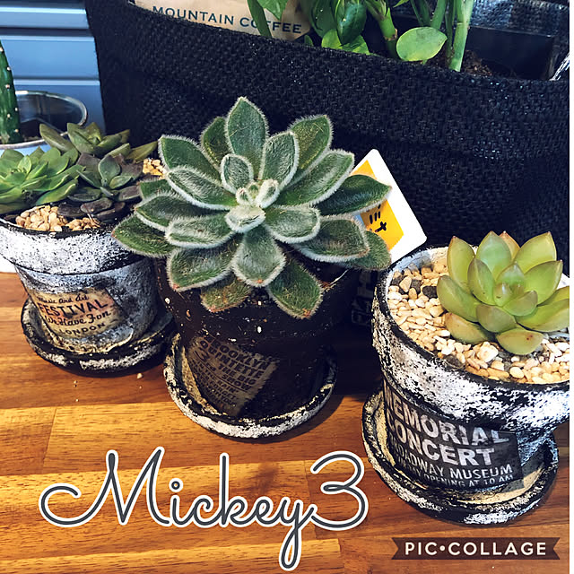 mickey3さんの実例写真