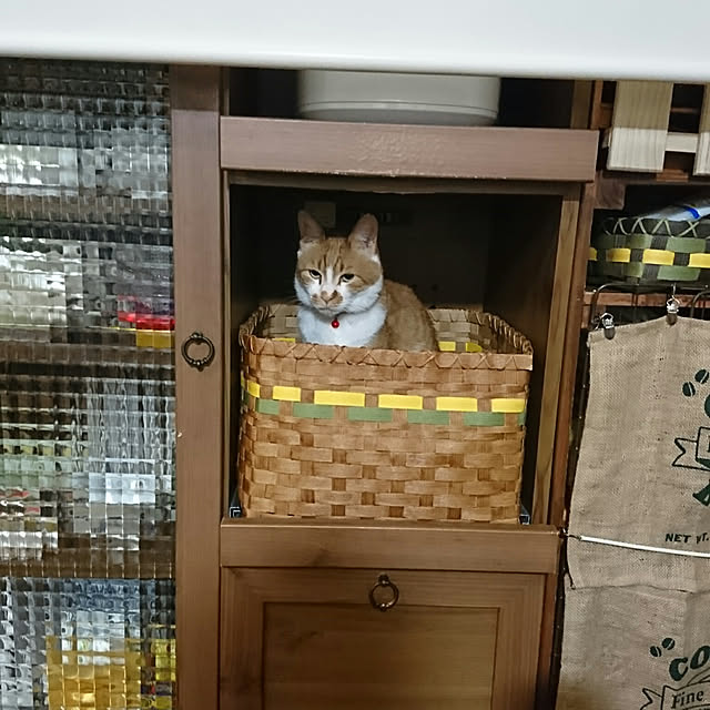 SHIHOさんの実例写真