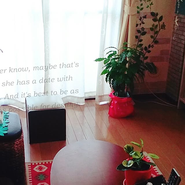 kyooonさんの実例写真