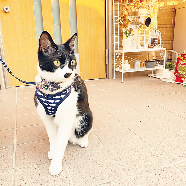 moolさんの実例写真