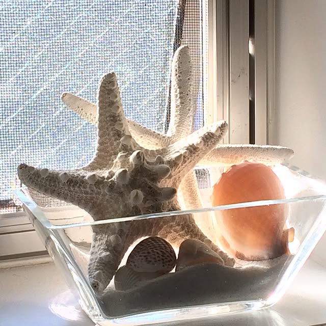 greenさんの実例写真