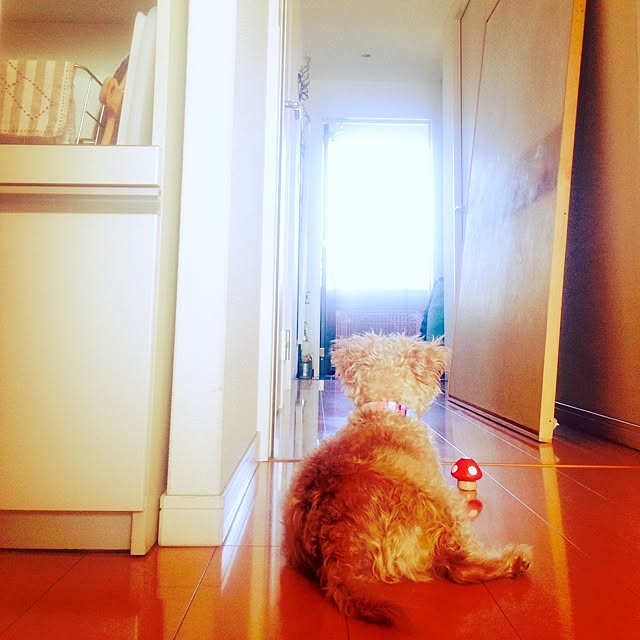 yさんの実例写真