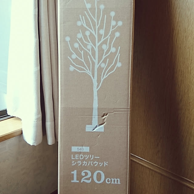 megumisaさんの実例写真