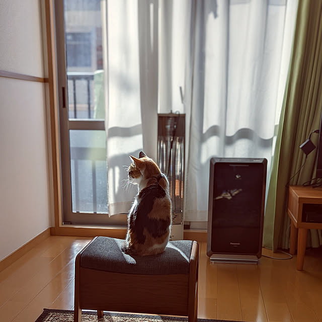 tacomozさんの実例写真
