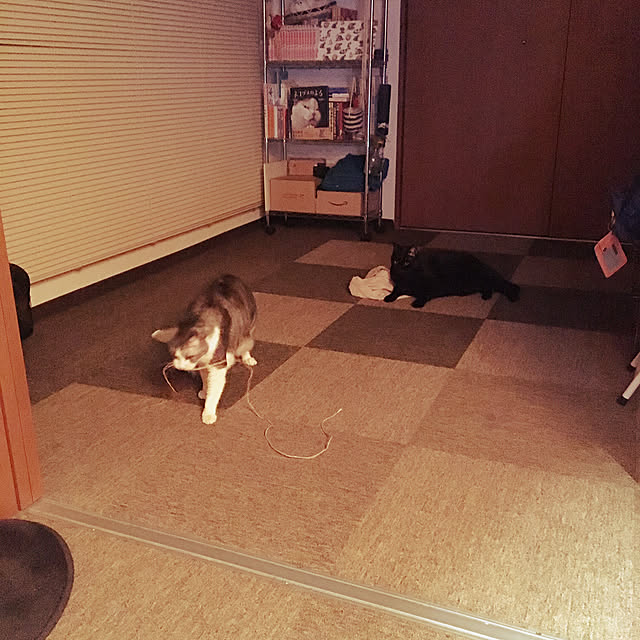mknmさんの実例写真