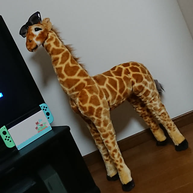 tentenさんの実例写真
