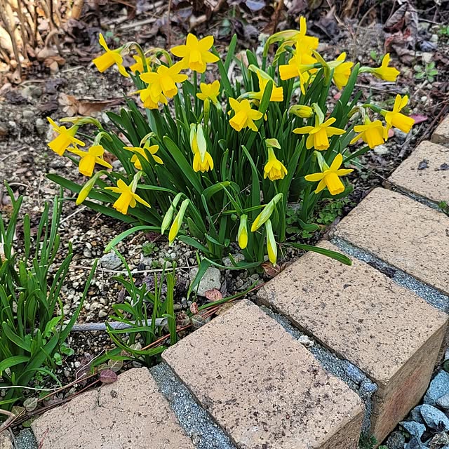 VIORAさんの実例写真