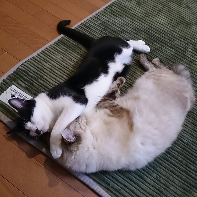 kazaneさんの実例写真