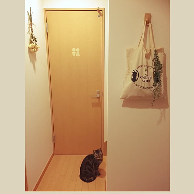 Akaneiroさんの実例写真