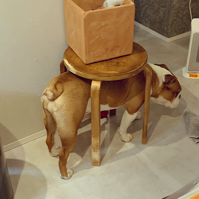 mi-yuさんの実例写真