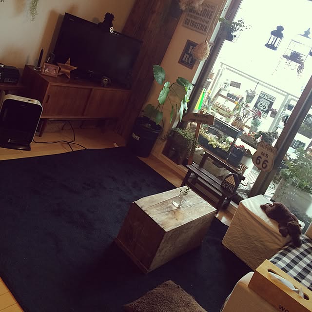 riechocoさんの実例写真