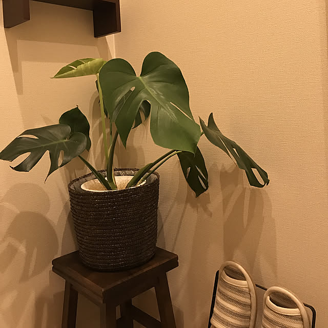megmagさんの実例写真