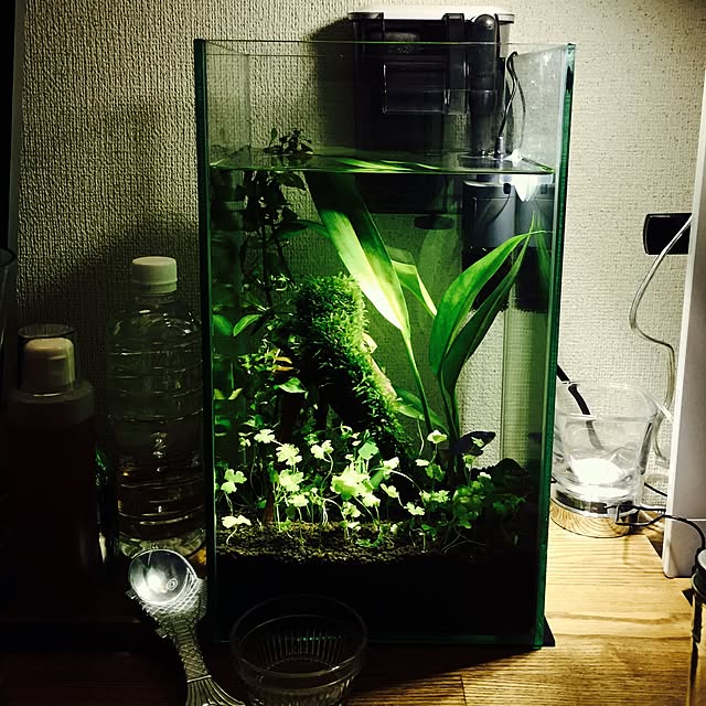furukataさんの実例写真