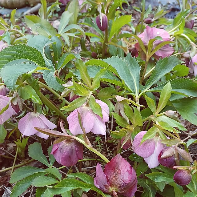 hiro.904さんの実例写真