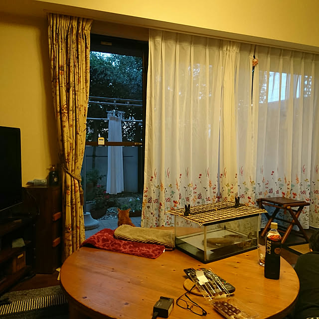 okyosan101さんの実例写真