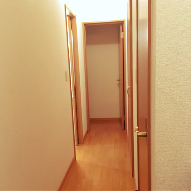 araitatesirotanさんの実例写真