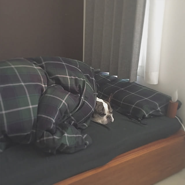 yukkyさんの実例写真