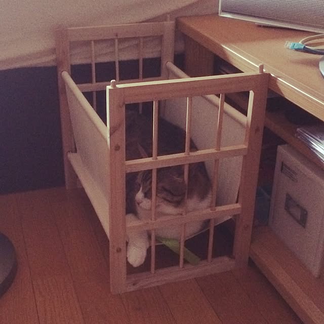Necopandaさんの実例写真