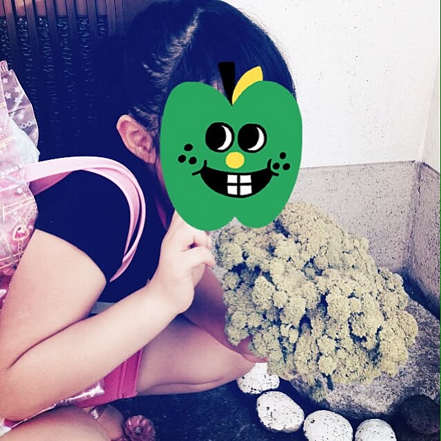 Hiroeさんの実例写真