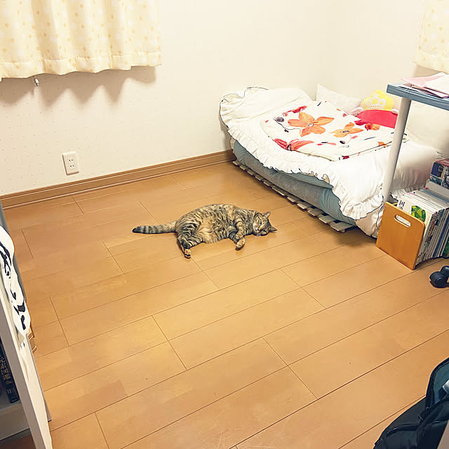 hansho.sさんの実例写真