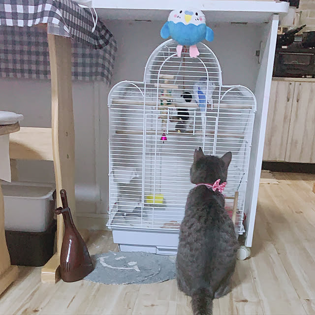 Yukiさんの実例写真