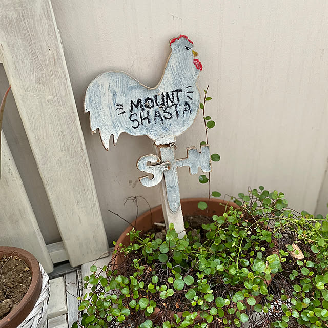 mamiさんの部屋