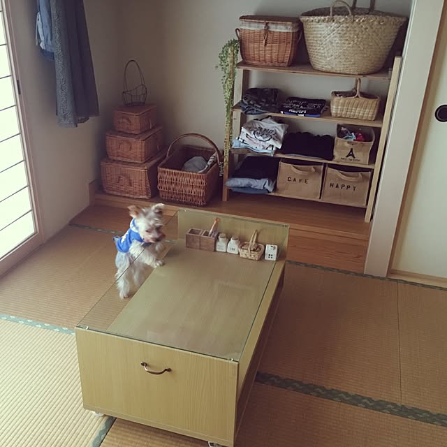 mayuoさんの実例写真