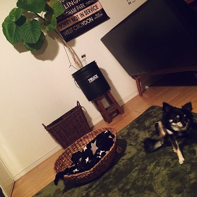 riechocoさんの実例写真