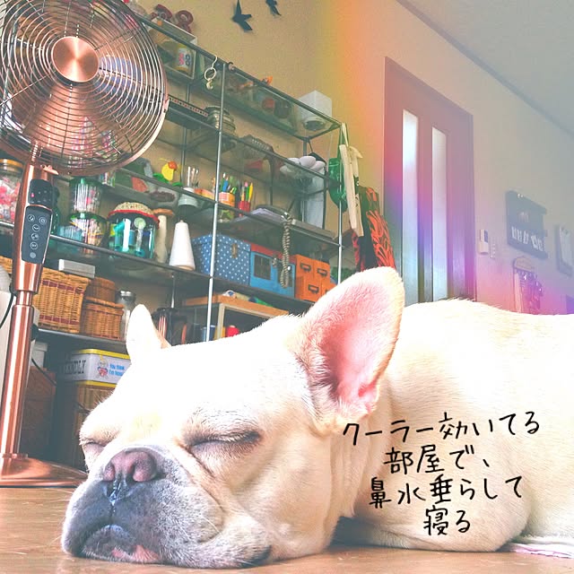38coreさんの実例写真