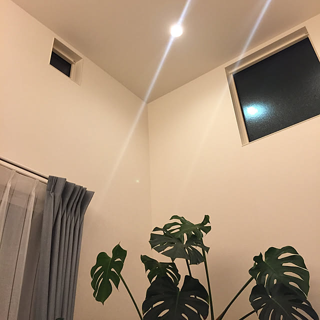 Yoshikoさんの実例写真