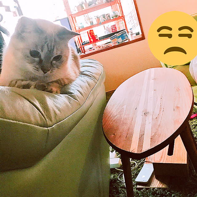 nachuさんの実例写真