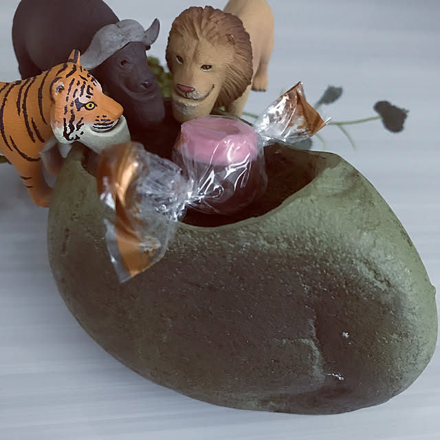 riakanaさんの実例写真