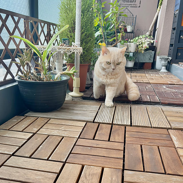 naokoさんの部屋