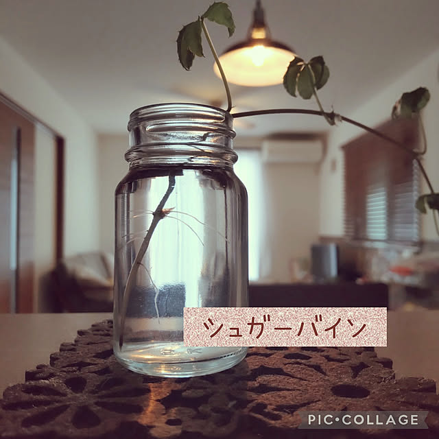 miaoさんの実例写真