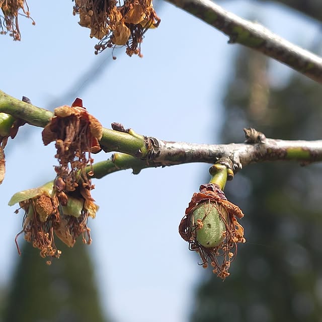 Rubiconさんの部屋