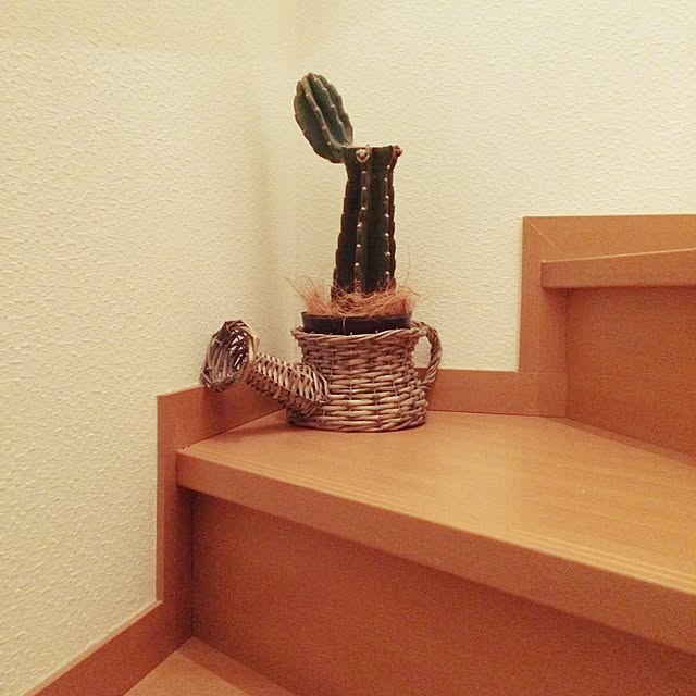505さんの実例写真