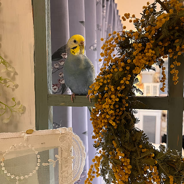 Atsukoさんの部屋