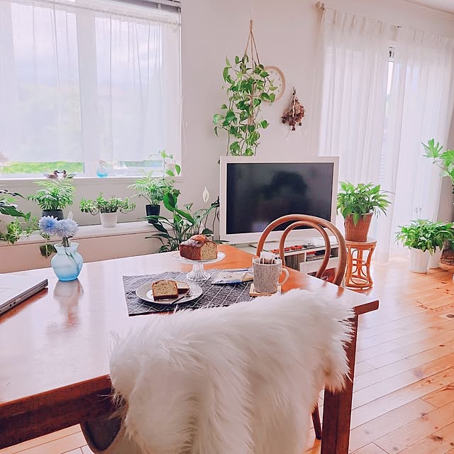 surviveさんの実例写真