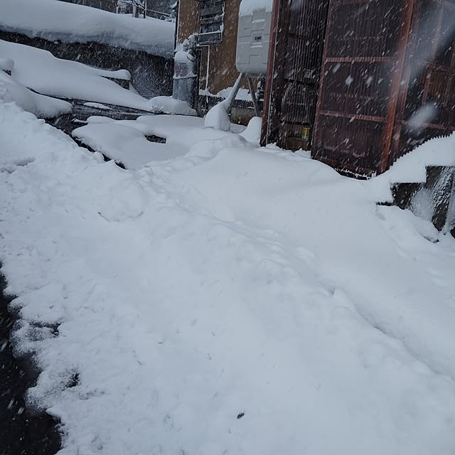 aoinokimiさんの実例写真