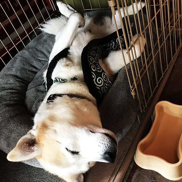 masu...さんの実例写真
