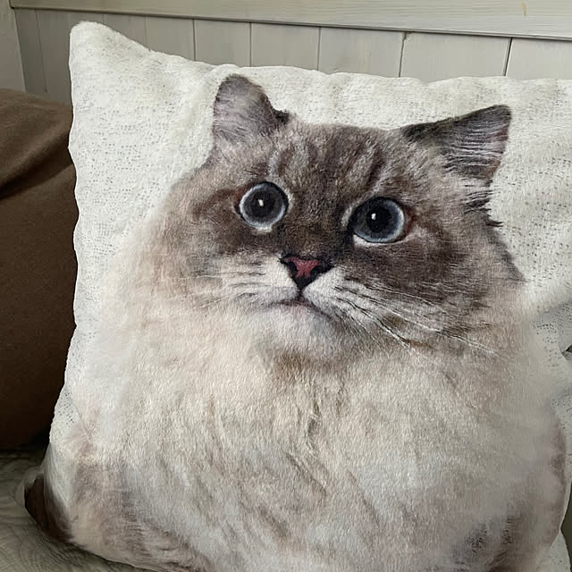 nicoさんの部屋