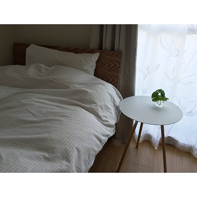 Satomiさんの実例写真