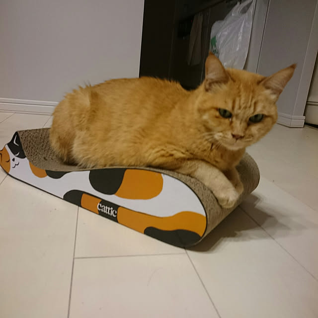 hanacocoさんの実例写真