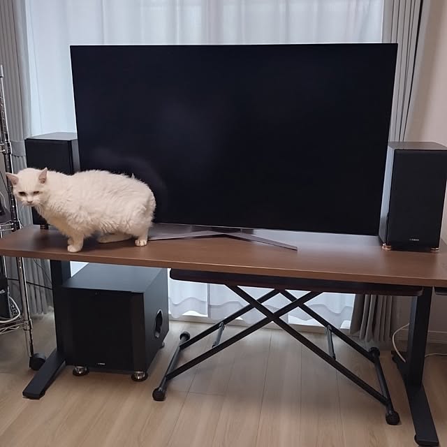 NOAHさんの実例写真