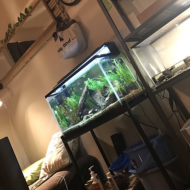hirokiさんの実例写真